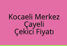 Kocaeli Merkez Çekici Fiyatı – Çayeli Oto Kurtarıcı Ücreti