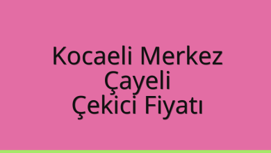 Kocaeli Merkez Çekici Fiyatı – Çayeli Oto Kurtarıcı Ücreti
