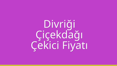Divriği Çekici Fiyatı - Çiçekdağı Oto Kurtarıcı Ücreti Divriği Çekici Fiyatı – Çiçekdağı Oto Kurtarıcı Ücreti