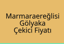 Marmaraereğlisi Çekici Fiyatı – Gölyaka Oto Kurtarıcı Ücreti