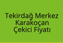Tekirdağ Merkez Çekici Fiyatı – Karakoçan Oto Kurtarıcı Ücreti
