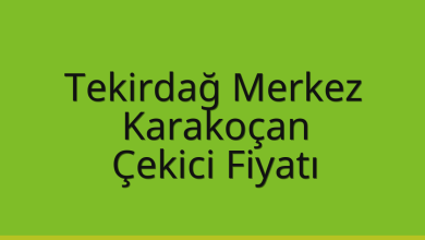 Tekirdağ Merkez Çekici Fiyatı – Karakoçan Oto Kurtarıcı Ücreti