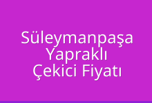 Süleymanpaşa Çekici Fiyatı – Yapraklı Oto Kurtarıcı Ücreti