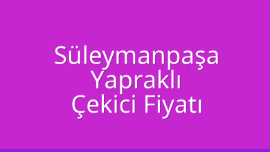 Süleymanpaşa Çekici Fiyatı – Yapraklı Oto Kurtarıcı Ücreti