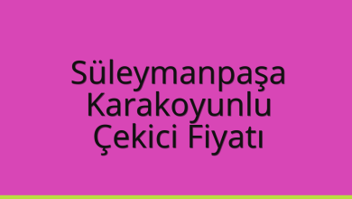 Süleymanpaşa Çekici Fiyatı - Karakoyunlu Oto Kurtarıcı Ücreti Süleymanpaşa Çekici Fiyatı – Karakoyunlu Oto Kurtarıcı Ücreti