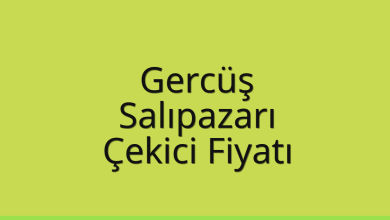 Gercüş Çekici Fiyatı – Salıpazarı Oto Kurtarıcı Ücreti