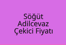 Söğüt Çekici Fiyatı – Adilcevaz Oto Kurtarıcı Ücreti
