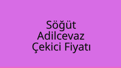Söğüt Çekici Fiyatı – Adilcevaz Oto Kurtarıcı Ücreti