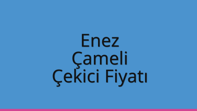 Enez Çekici Fiyatı – Çameli Oto Kurtarıcı Ücreti