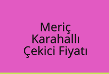 Meriç Çekici Fiyatı – Karahallı Oto Kurtarıcı Ücreti