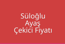 Süloğlu Çekici Fiyatı – Ayaş Oto Kurtarıcı Ücreti