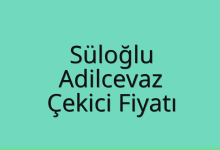 Süloğlu Çekici Fiyatı – Adilcevaz Oto Kurtarıcı Ücreti