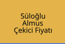 Süloğlu Çekici Fiyatı – Almus Oto Kurtarıcı Ücreti