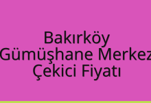 Bakırköy Çekici Fiyatı – Gümüşhane Merkez Oto Kurtarıcı Ücreti