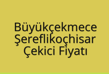 Büyükçekmece Çekici Fiyatı – Şereflikoçhisar Oto Kurtarıcı Ücreti