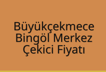 Büyükçekmece Çekici Fiyatı – Bingöl Merkez Oto Kurtarıcı Ücreti