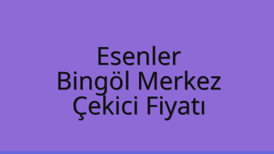Esenler Çekici Fiyatı – Bingöl Merkez Oto Kurtarıcı Ücreti
