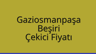 Gaziosmanpaşa Çekici Fiyatı – Beşiri Oto Kurtarıcı Ücreti