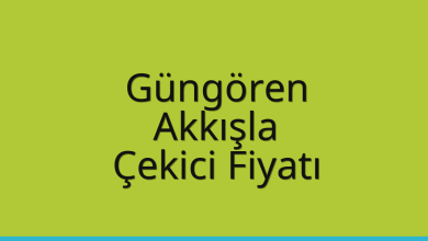 Güngören Çekici Fiyatı – Akkışla Oto Kurtarıcı Ücreti