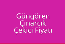 Güngören Çekici Fiyatı – Çınarcık Oto Kurtarıcı Ücreti