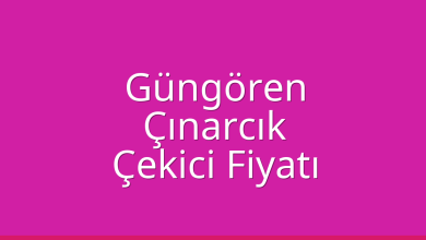 Güngören Çekici Fiyatı – Çınarcık Oto Kurtarıcı Ücreti