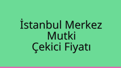 İstanbul Merkez Çekici Fiyatı – Mutki Oto Kurtarıcı Ücreti