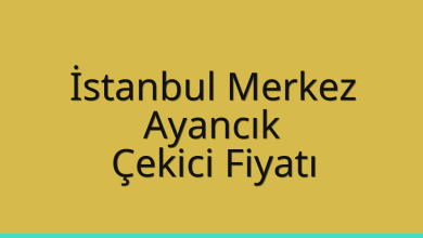 İstanbul Merkez Çekici Fiyatı – Ayancık Oto Kurtarıcı Ücreti