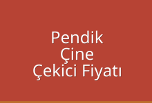 Pendik Çekici Fiyatı – Çine Oto Kurtarıcı Ücreti