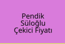 Pendik Çekici Fiyatı – Süloğlu Oto Kurtarıcı Ücreti