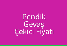 Pendik Çekici Fiyatı – Gevaş Oto Kurtarıcı Ücreti