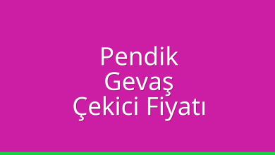 Pendik Çekici Fiyatı - Gevaş Oto Kurtarıcı Ücreti Pendik Çekici Fiyatı – Gevaş Oto Kurtarıcı Ücreti
