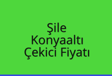 Şile Çekici Fiyatı – Konyaaltı Oto Kurtarıcı Ücreti