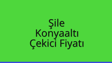 Şile Çekici Fiyatı – Konyaaltı Oto Kurtarıcı Ücreti