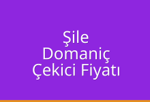 Şile Çekici Fiyatı – Domaniç Oto Kurtarıcı Ücreti