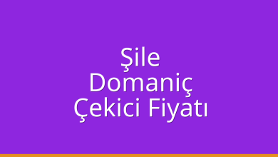 Şile Çekici Fiyatı – Domaniç Oto Kurtarıcı Ücreti