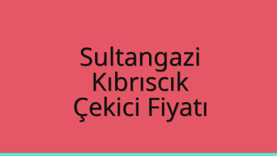 Sultangazi Çekici Fiyatı – Kıbrıscık Oto Kurtarıcı Ücreti