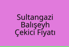 Sultangazi Çekici Fiyatı – Balışeyh Oto Kurtarıcı Ücreti