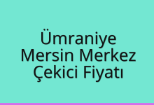 Ümraniye Çekici Fiyatı – Mersin Merkez Oto Kurtarıcı Ücreti