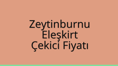 Zeytinburnu Çekici Fiyatı – Eleşkirt Oto Kurtarıcı Ücreti