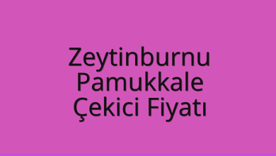 Zeytinburnu Çekici Fiyatı - Pamukkale Oto Kurtarıcı Ücreti Zeytinburnu Çekici Fiyatı – Pamukkale Oto Kurtarıcı Ücreti