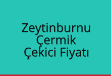 Zeytinburnu Çekici Fiyatı – Çermik Oto Kurtarıcı Ücreti