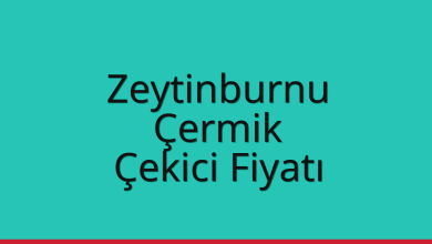 Zeytinburnu Çekici Fiyatı - Çermik Oto Kurtarıcı Ücreti Zeytinburnu Çekici Fiyatı – Çermik Oto Kurtarıcı Ücreti