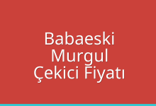 Babaeski Çekici Fiyatı – Murgul Oto Kurtarıcı Ücreti