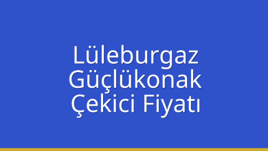 Lüleburgaz Çekici Fiyatı - Güçlükonak Oto Kurtarıcı Ücreti Lüleburgaz Çekici Fiyatı – Güçlükonak Oto Kurtarıcı Ücreti