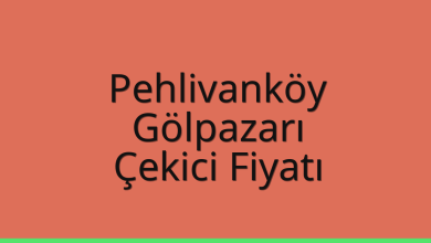 Pehlivanköy Çekici Fiyatı – Gölpazarı Oto Kurtarıcı Ücreti