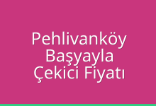 Pehlivanköy Çekici Fiyatı – Başyayla Oto Kurtarıcı Ücreti