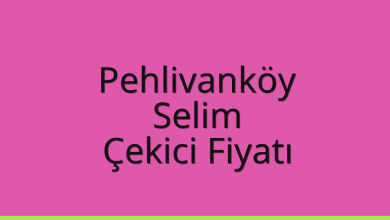 Pehlivanköy Çekici Fiyatı – Selim Oto Kurtarıcı Ücreti