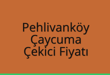 Pehlivanköy Çekici Fiyatı – Çaycuma Oto Kurtarıcı Ücreti