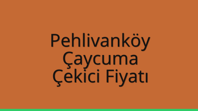 Pehlivanköy Çekici Fiyatı – Çaycuma Oto Kurtarıcı Ücreti