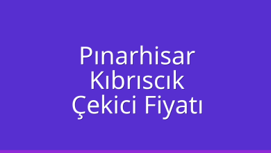 Pınarhisar Çekici Fiyatı – Kıbrıscık Oto Kurtarıcı Ücreti
